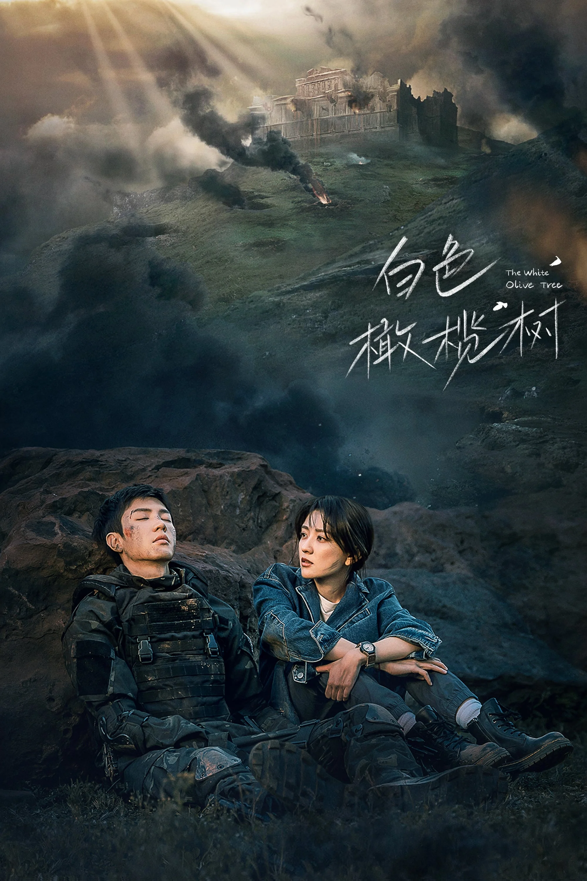 Xem phim Cây Ô Liu Màu Trắng - Full HD Vietsub