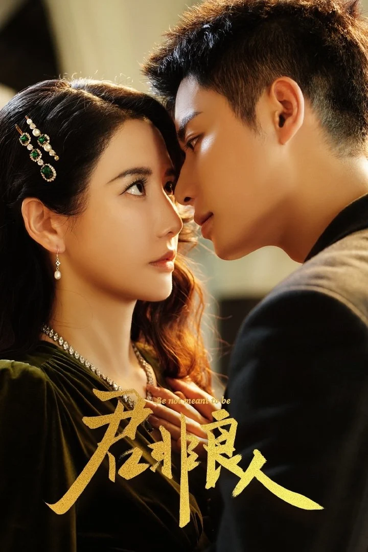 Xem phim Quân Phi Lương Nhân - Full HD Vietsub